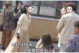 婚姻调查取证